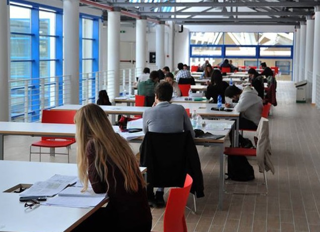 I numeri della Biblioteca Comunale “G.Gronchi” nell’anno 2019: la fabbrica del nostro “capitale umano”