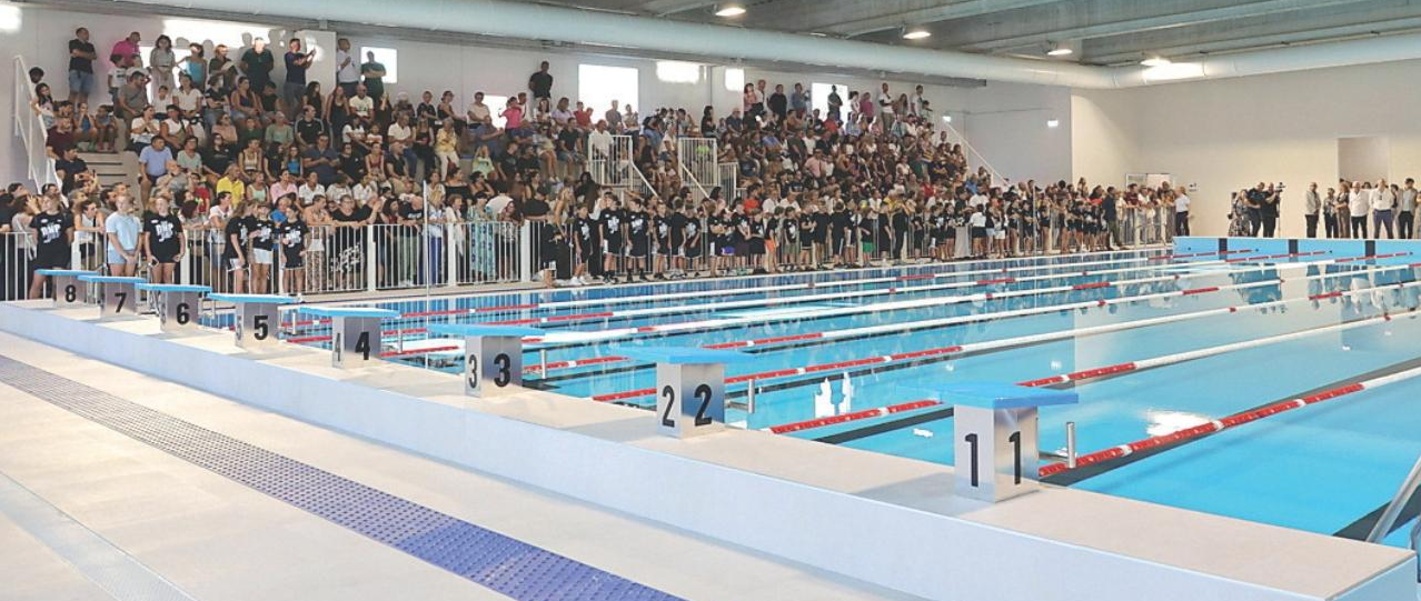 Palacqua df